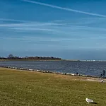 Seedeich *